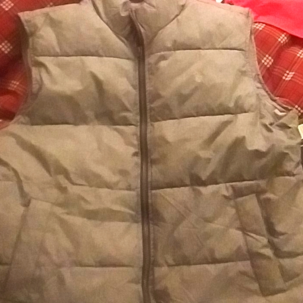 Vest